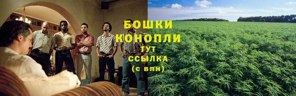 a pvp Верея